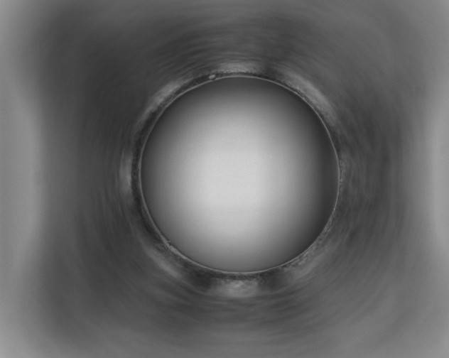 X0000110770155200906151333