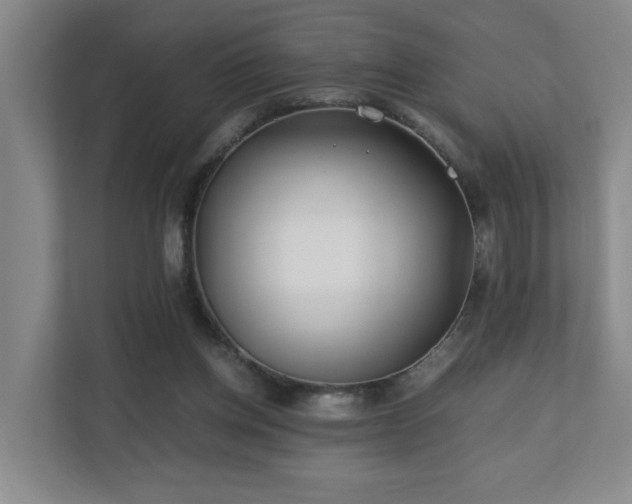 X0000110770158200906151333