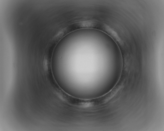 X0000110770161200906151333