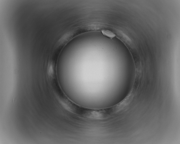 X0000110770166200906151333