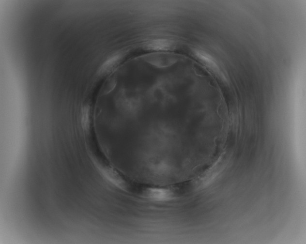 X0000110770167200906151333