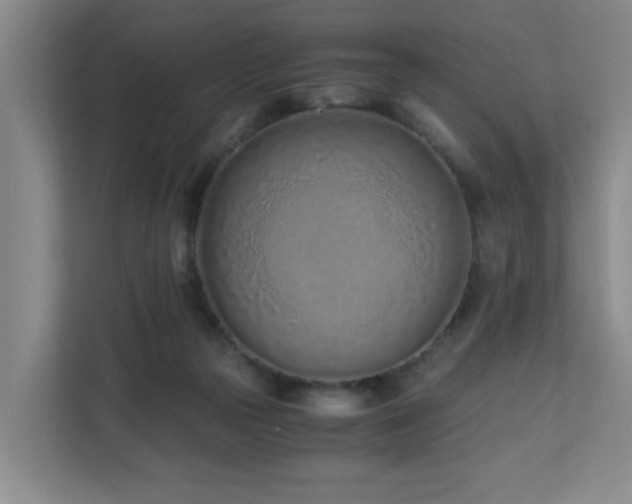 X0000110770169200906151333