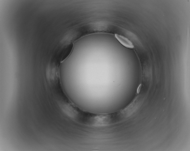 X0000110770172200906151333