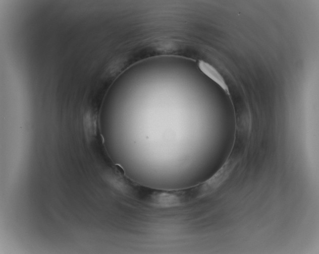 X0000110770180200906151333