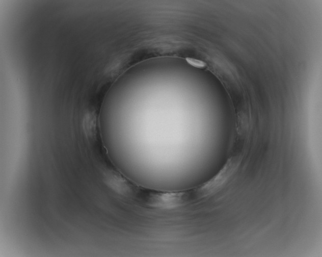 X0000110770184200906151333