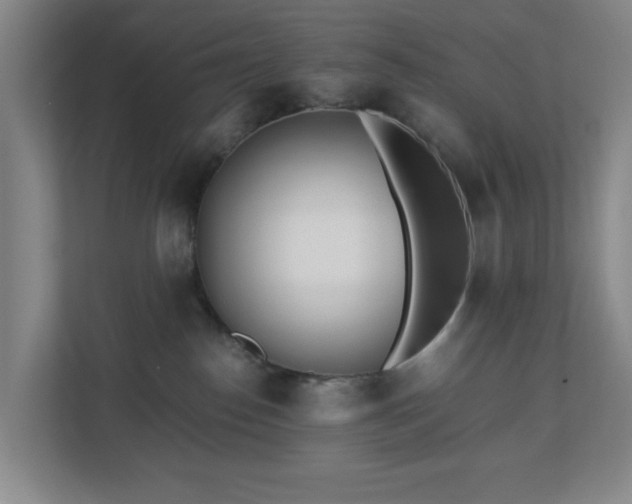 X0000110770186200906151333