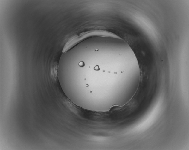 X0000110770190200906151333