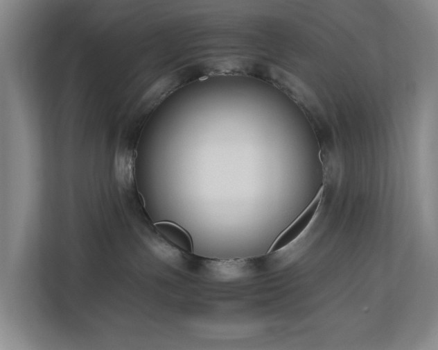 X0000110770191200906151333