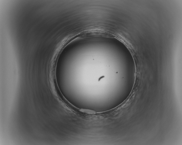 X0000110770193200906151332