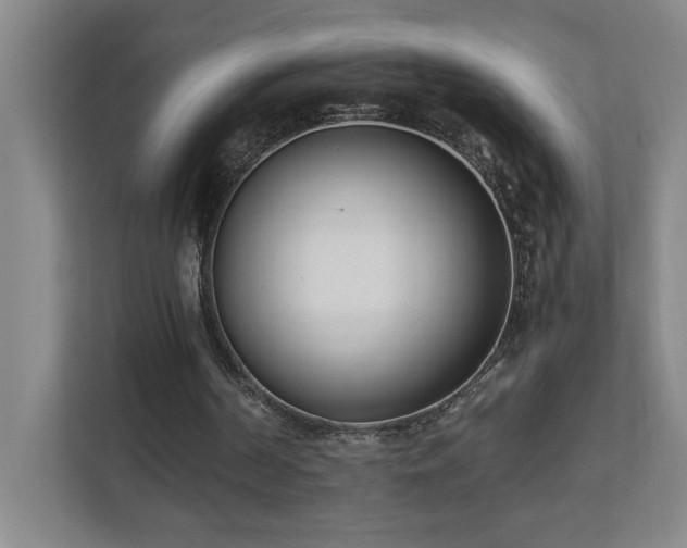 X0000110770194200906151332