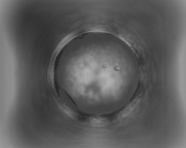 X0000110770199200906151332