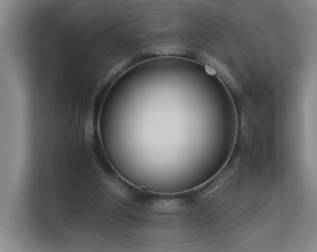 X0000110770202200906151332