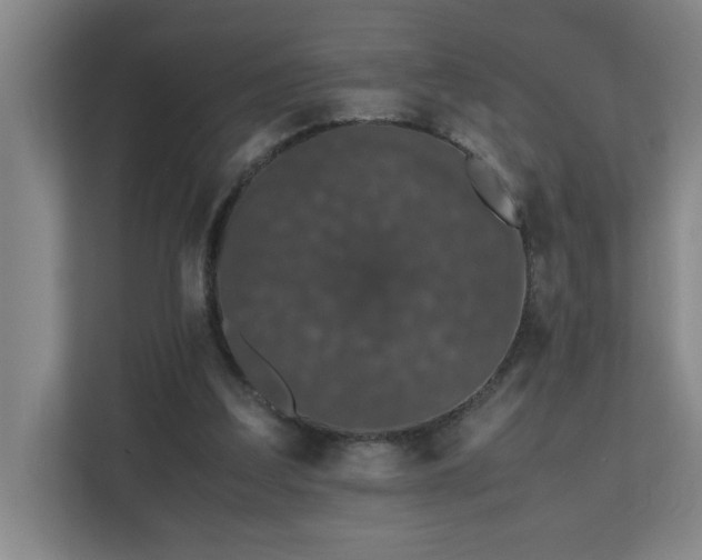 X0000110770203200906151332