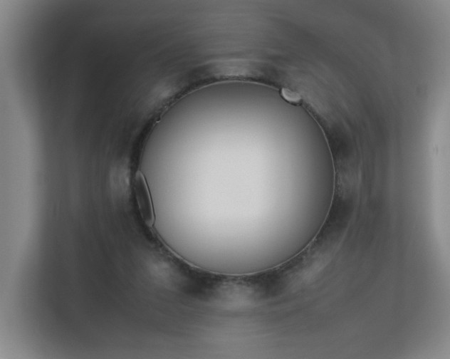 X0000110770207200906151332