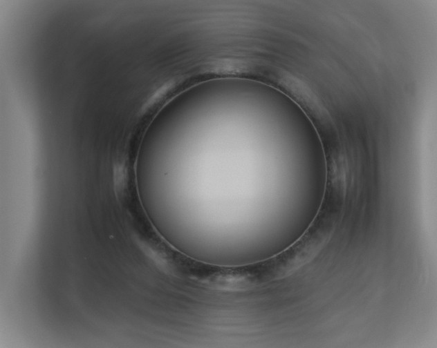 X0000110770208200906151332