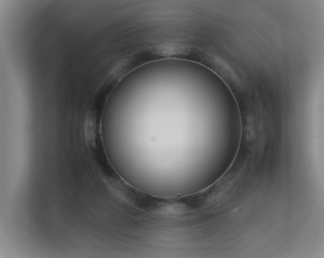 X0000110770210200906151332