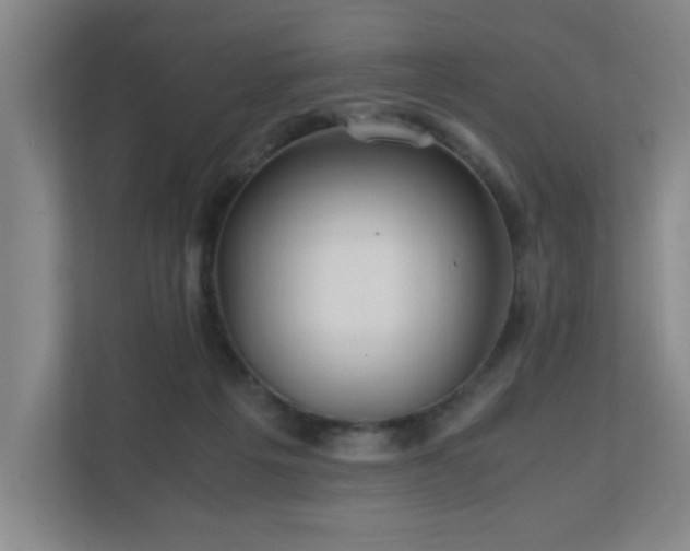 X0000110770217200906151332