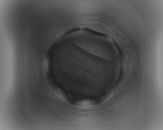 X0000110770219200906151332