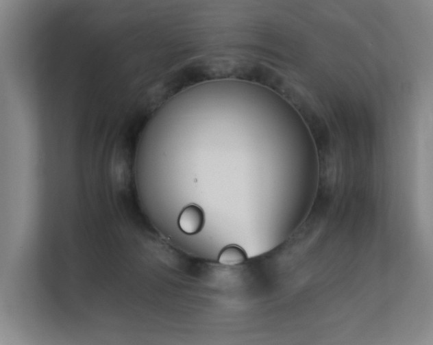 X0000110770226200906151332