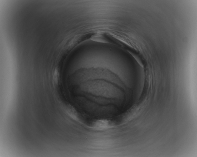 X0000110770227200906151332