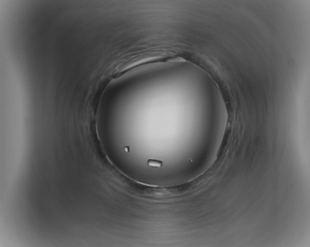 X0000110770229200906151332