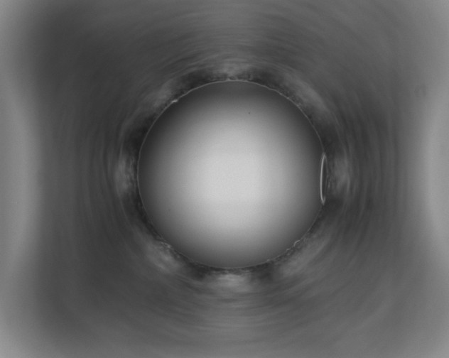 X0000110770236200906151332