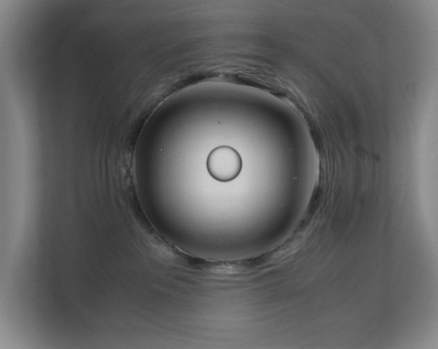 X0000110770237200906151332