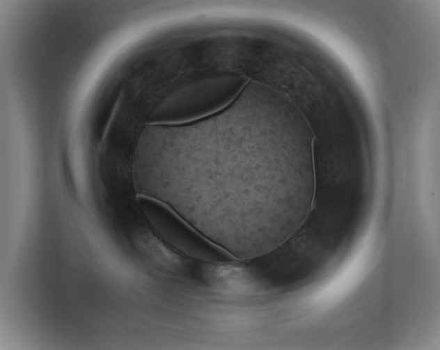 X0000110770239200906151332