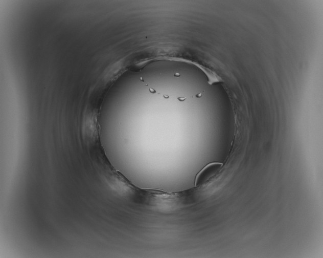 X0000110770240200906151332