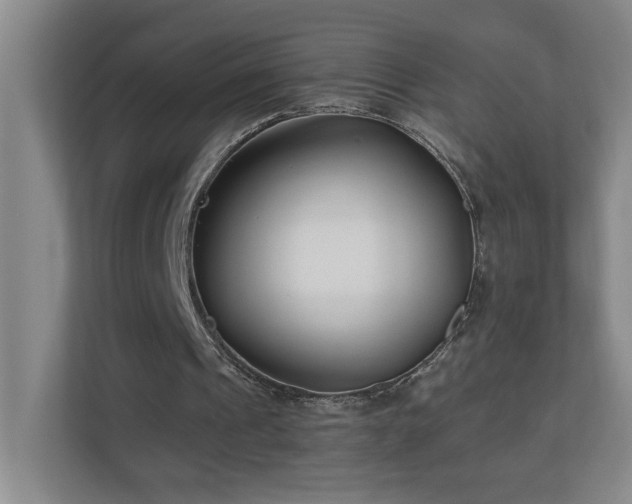 X0000110770241200906151331