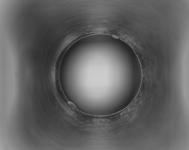 X0000110770242200906151331