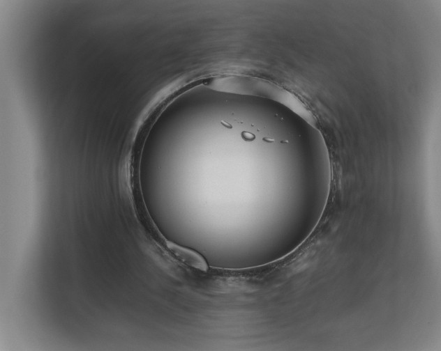 X0000110770244200906151331