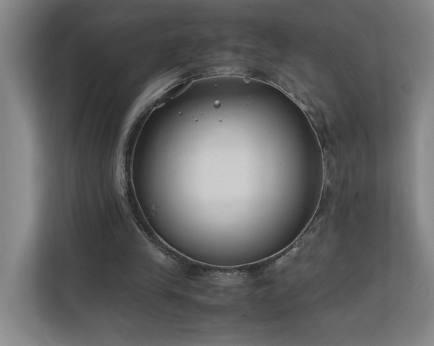 X0000110770245200906151331