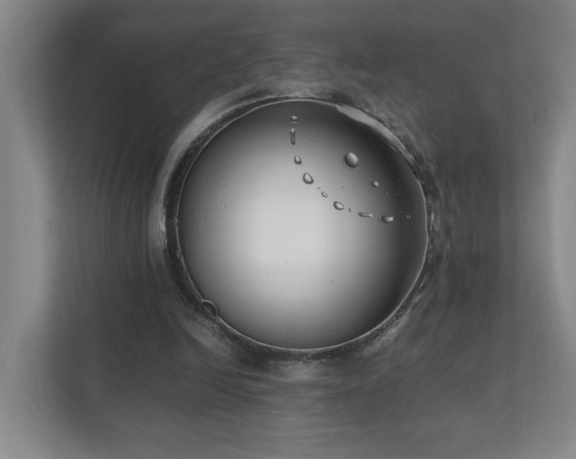 X0000110770246200906151331