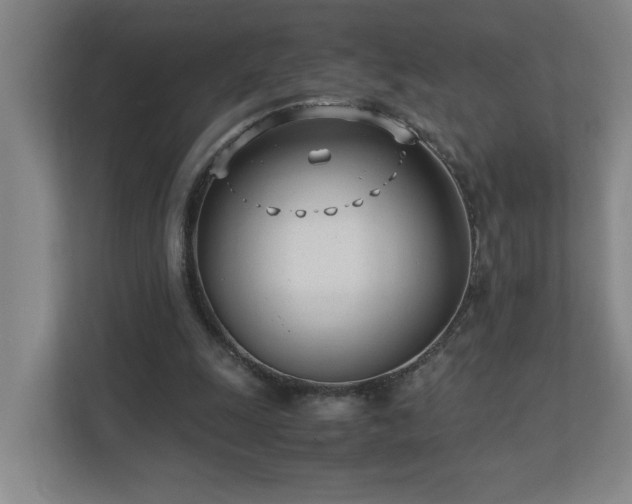 X0000110770247200906151331