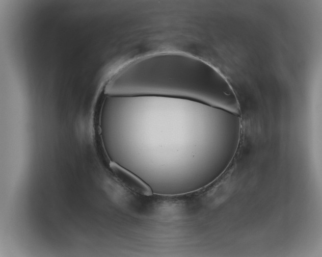 X0000110770248200906151331