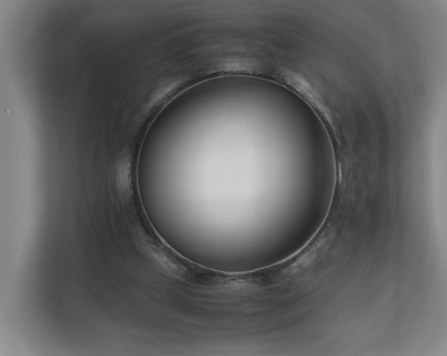 X0000110770249200906151331