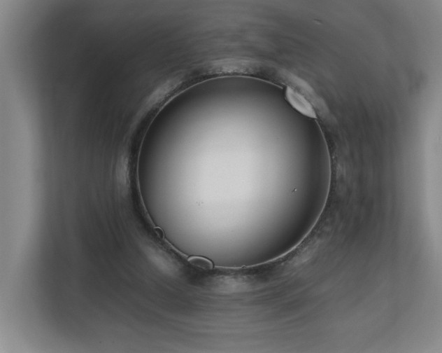 X0000110770250200906151331