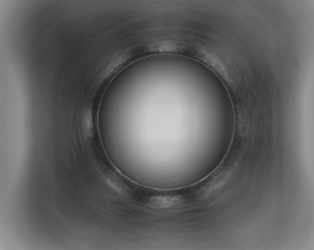 X0000110770251200906151331