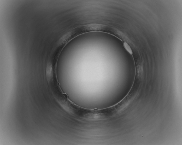 X0000110770254200906151331