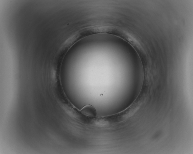 X0000110770258200906151331