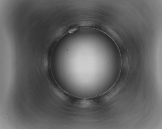 X0000110770261200906151331