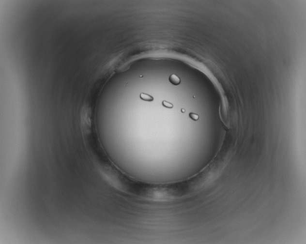 X0000110770264200906151331