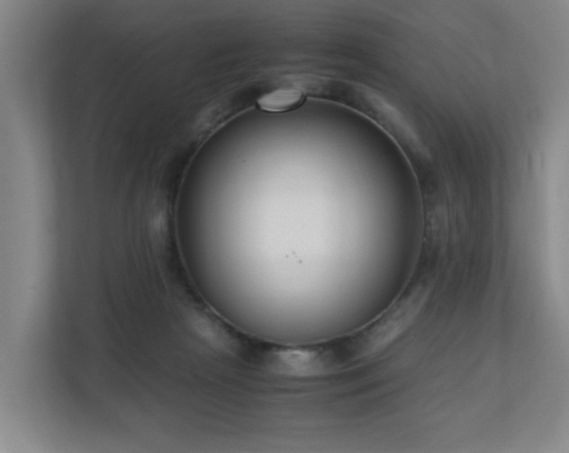 X0000110770265200906151331