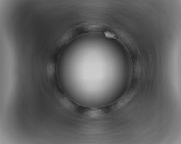 X0000110770278200906151332