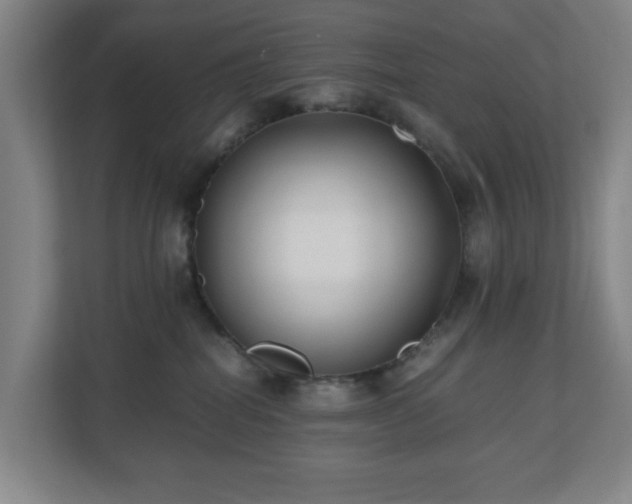 X0000110770282200906151332