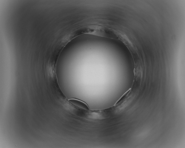 X0000110770285200906151332