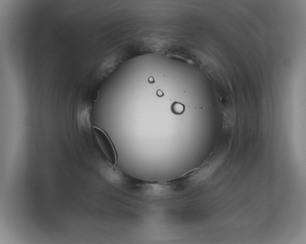 X0000110770286200906151332