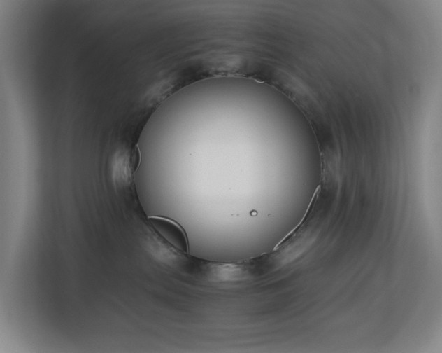 X0000110770287200906151332