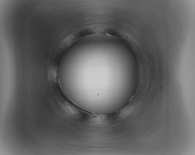 X0000110770288200906151332